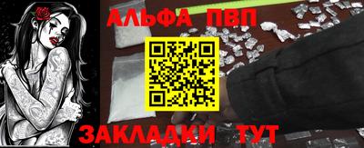 стаф Кингисепп