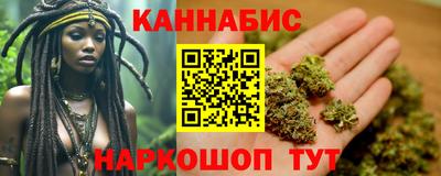 стаф Кингисепп