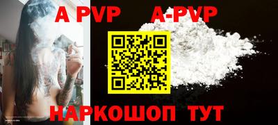 стаф Кингисепп