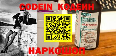 стаф Кингисепп
