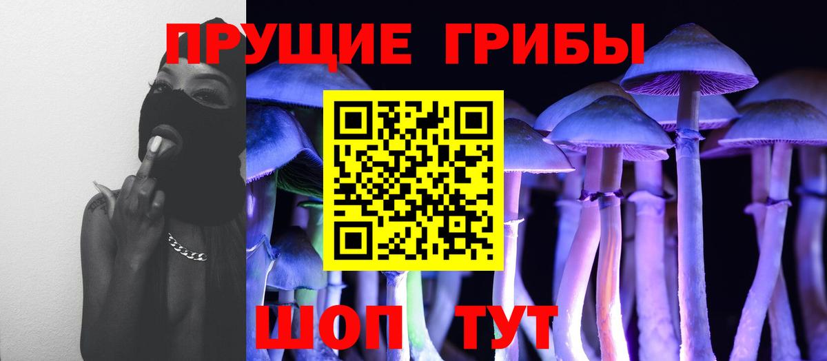 Галлюциногенные грибы Psilocybe  Галлюциногенные грибы Magic Shrooms  Красноярск  Вход с VPN 